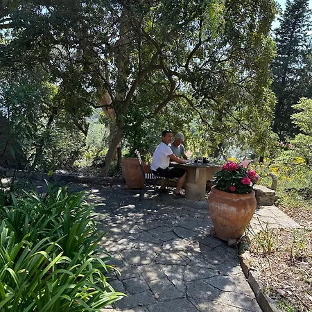Del Parco