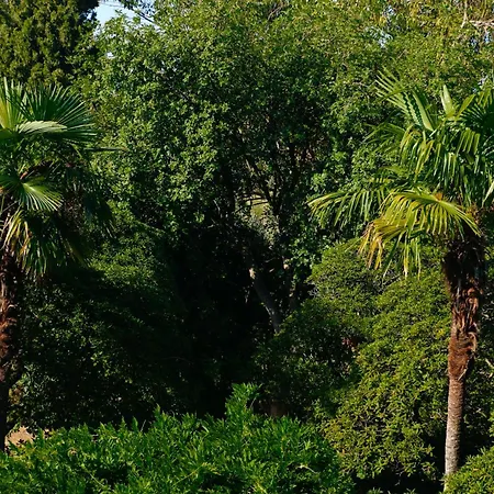 Del Parco *